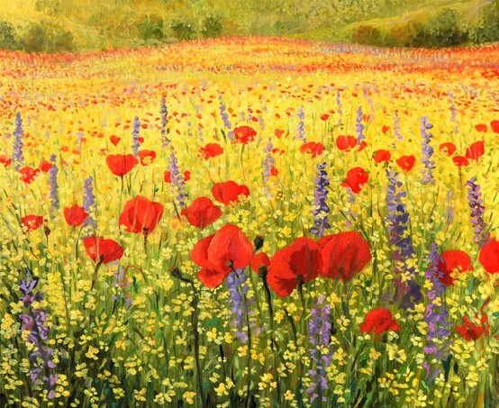 Oil painting - colorful field full of red poppies, yellow rapeseed and blue delphiniums